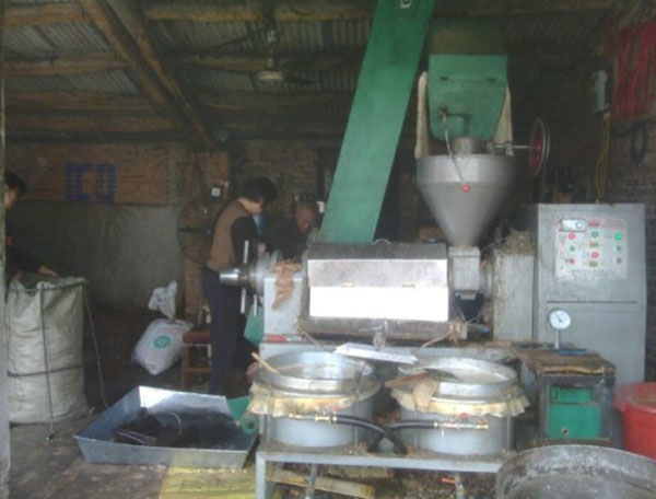 榨油機(jī)用戶訪問：鄉(xiāng)鎮(zhèn)之間榨油坊生意如何？