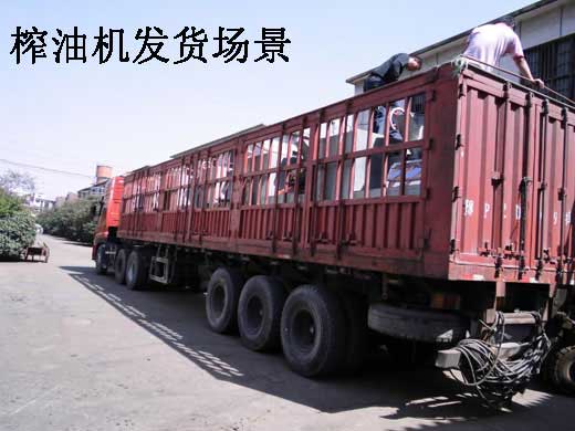 雙象榨油機(jī)的效果怎么樣？